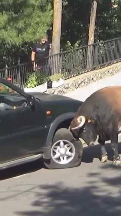 When you ignore the 'don't park here' sign.