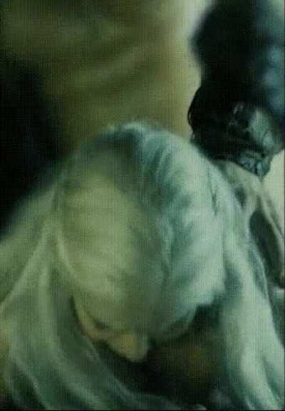 You get to recast Emilia Clarke's sex scene & also add one more position. Which celeb & position would you pick?