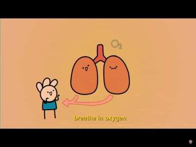 Man, I love this guy.