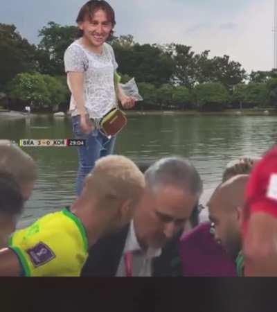 Balkan kid feeding some pidgeons