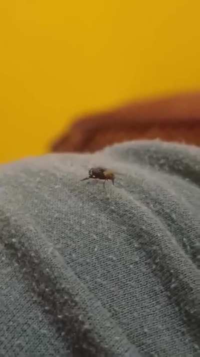 hello world!!!!!!!!!!🤣🤣💀💀💀💀❤😭🔥🙏🙏😝😍😂😥😒😔😔😀😀🤶👳‍♀️👳‍♀️