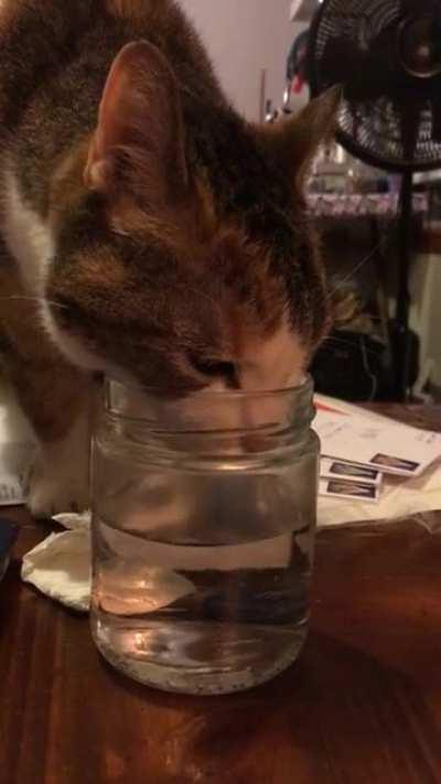 Slurpslurpslurpslurp