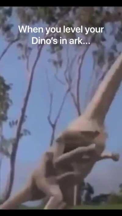 Here’s my first ark meme!