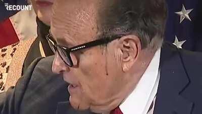 Even Giuliani's hair dye is abandoning his coup attempt