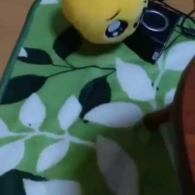 transfems when good girl rule