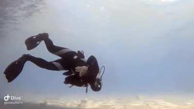 Someone is feeling playful today