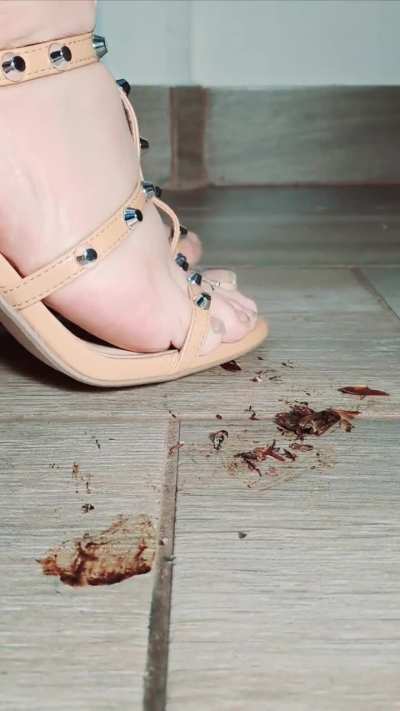 Customer requested full destruction of the bugs. Very easy for me 💁🏻‍♀️