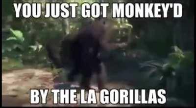 Thieves got embarrassed TWICE a day. Mindblown.