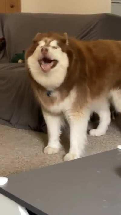 lol, please, i need help