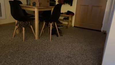 Sammy has things to say