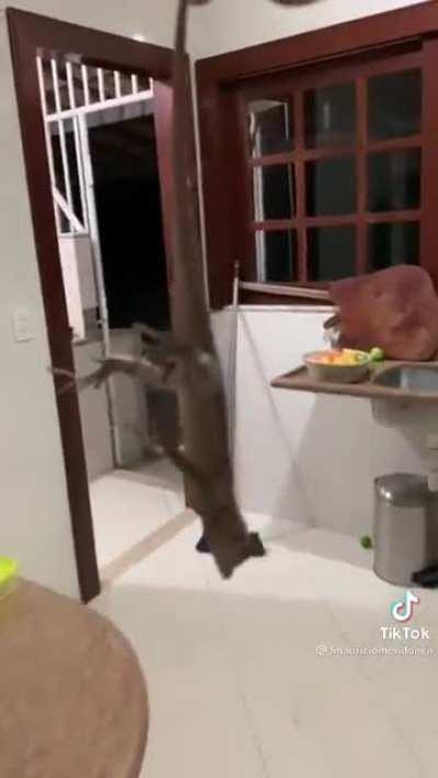 A mira dessa menina é boa demais