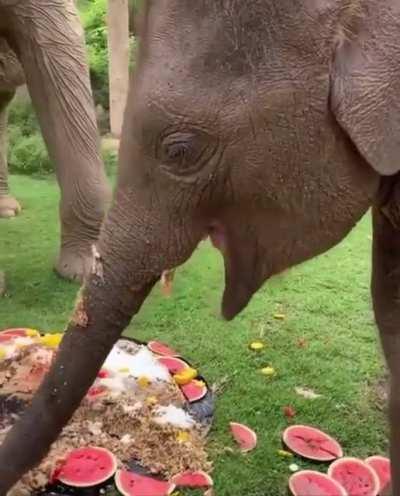 Apparently toddlers of every species are menaces.