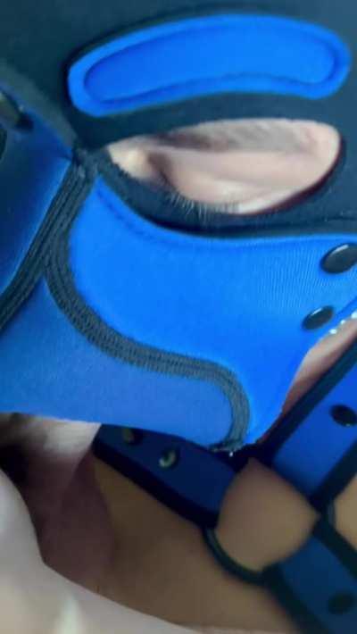 PupBran (on X) enjoying my extra large bone😮‍💨