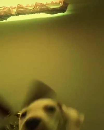 ERA: modern im pretty sure. Artist: no clue