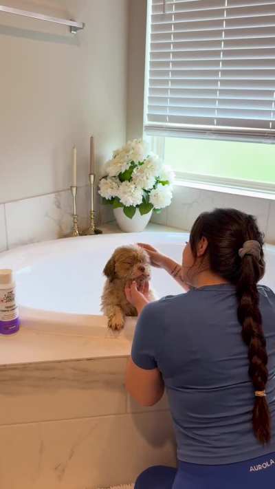 Today I experienced a new side of rescue