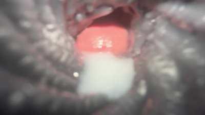 Have you ever wondered what Leilani looks like from the inside?