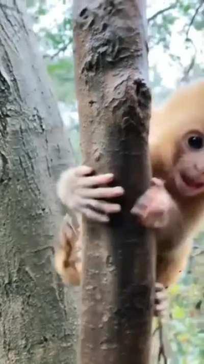 I am Happy to See You, Human!!