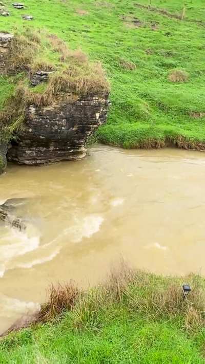 “Stuck” at the campsite and extra day, us siblings revert to racing hotdogs down a river.