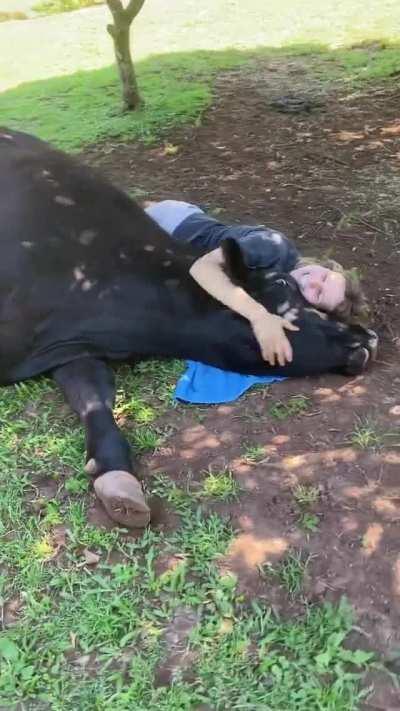 Laying down a towel and giving a hug