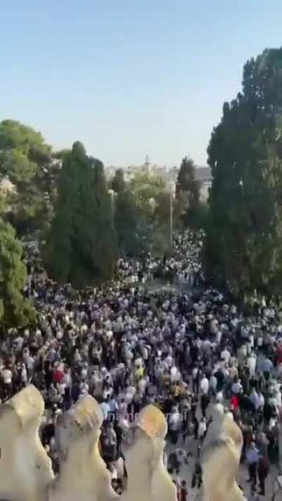 Have you ever visited Masjid Al Aqsa? Have you ever been a part of this gathering? This is from Eid. I have been visiting since the past 10 years but would love to hear about your experiences.