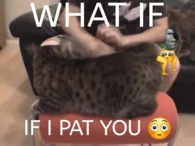 jkjk.. 🗿 unless 😳😳😳😳😳😹💦😡😔😳😳