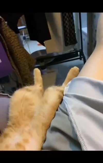 Stretchy feets,,,,Gotta get them toes splayed out..