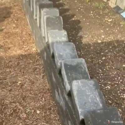 Everything's gonna be alright