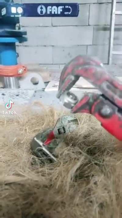 All guys would do this let’s be real