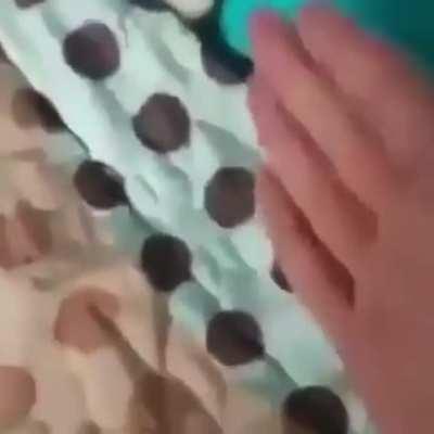 curseddiscordvideos - Video #4226