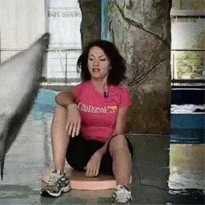 Water dinos during server lag be like