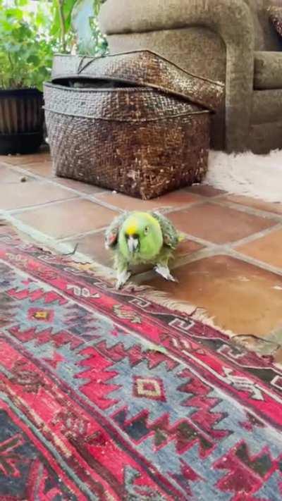 What’s the matter, baby? I’m not gonna hurt you.