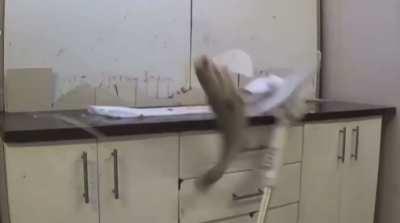 Stimming isnt just body movement :3 It can come in many ways like this ! >.<