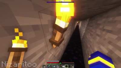 How it Feels to Kill a Wither Using an Iron Golem.
