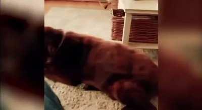 Well that was unexpected.com