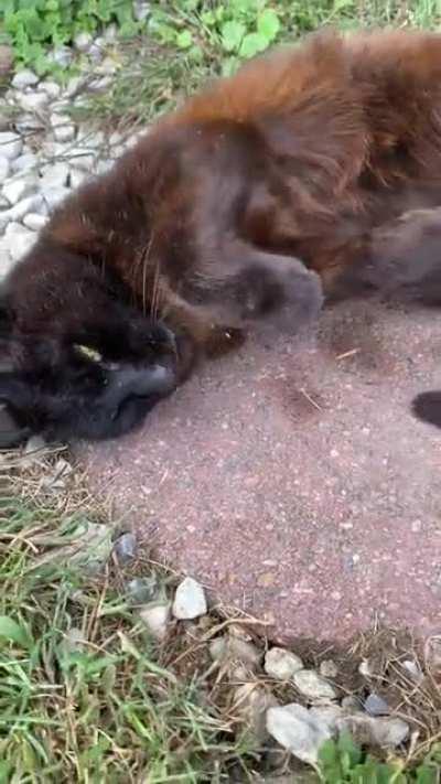 big yawn and a stretch :,D