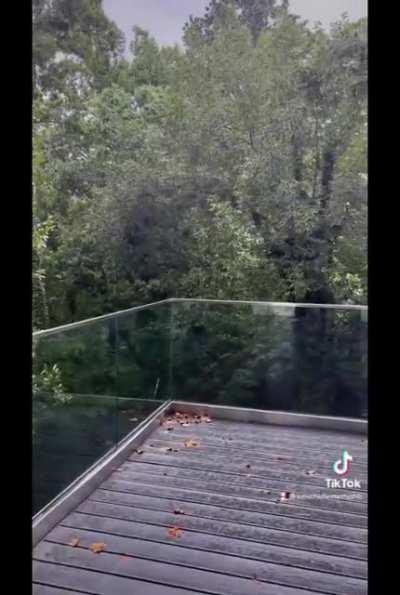 K. Michelle: Playing in the Rain