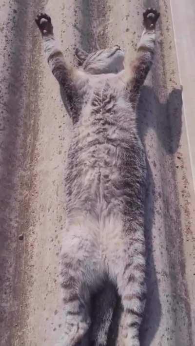 Your faith was strong but you needed proof