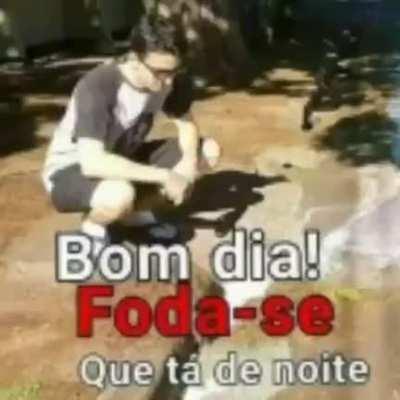 Bom Dia só para os bois 😎👍