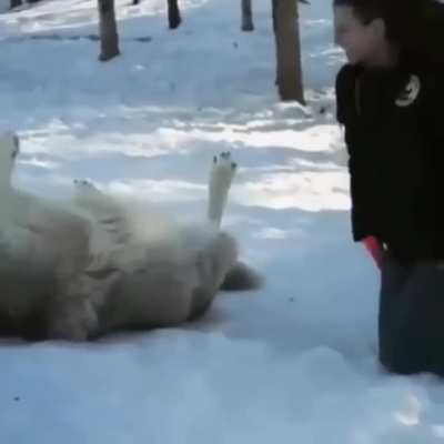 I love big pups and I cannot lie.