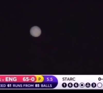 When Shane Watson thought the cricket ball on the black sight-screen was the moon