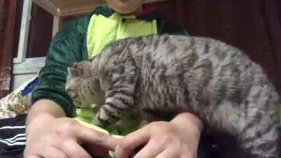 Maybe he won't notice if I just...