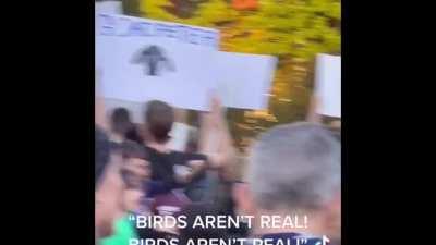 ‘Birds Aren’t Real’ Protest in NYC