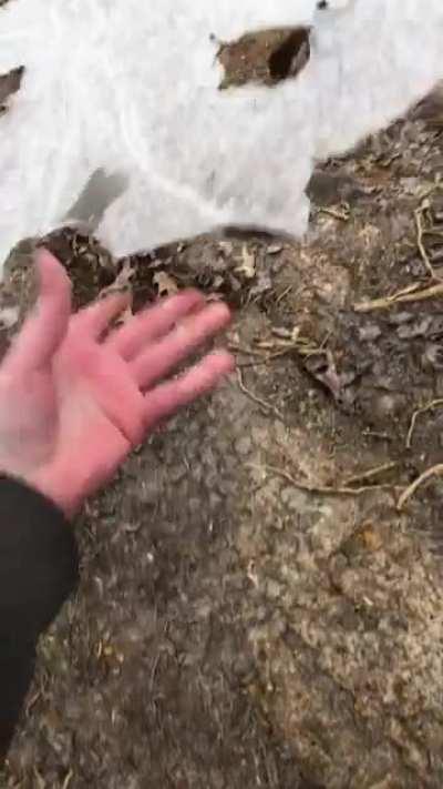 This one’s for the homies ❄️