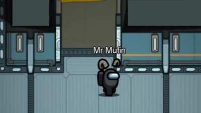 You know who is the impostor ?