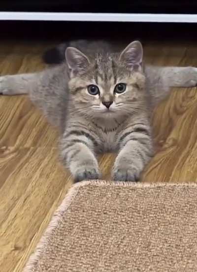 I'm lying just like that right now 