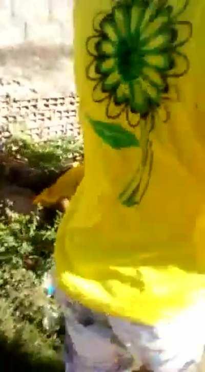 young brazilian favela thief gets punished for stealing by the community. suprisingly, he didnt get knocked out. maybe it would've been less painful for him.