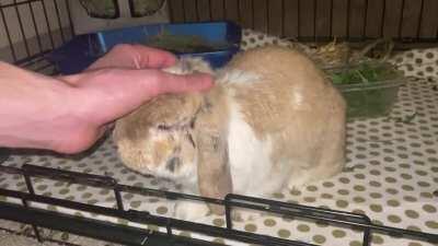 Nothing makes me happier than he gets closer for better pets