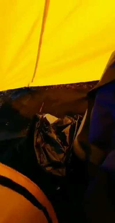 Work sponsored camping, Interior Alaska