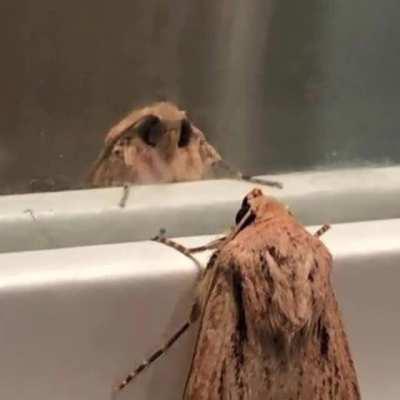 Trial complete. The next trial begins.