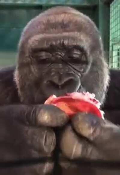 Ape eatin